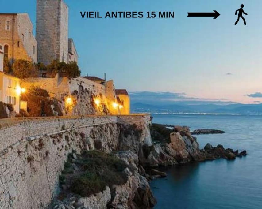 Evasion De Reve : 3p, Piscine, Tennis, Wifi, Park. * Antibes